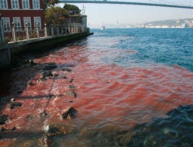 İstanbul Boğazı yine kan gölüne döndü