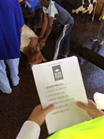 KENYA - Fildişi Sahillerinde Sunder Rüzgârı Esiyor