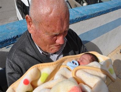 Arıcan Bebeğin Talihsiz Günü