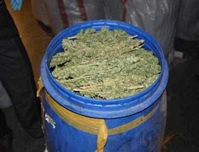 Gaziantep’te 315 Kilo Esrar Ele Geçirildi