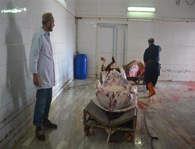 Çerkezköy'de 95 Kurbanlık Ücretsiz Kesildi