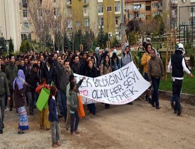 Odtü’de Yol Projesini Protesto Eden Grup Araziye Fidan Dikti
