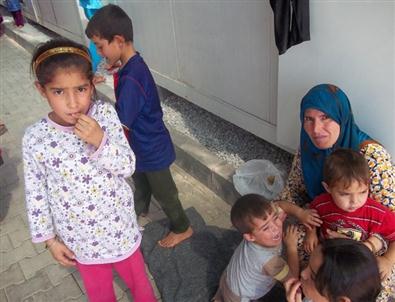 Suriyeli Mültecilere 6.5 Ton Kurbanlık Et Bağışı Yapıldı