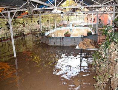 Zonguldak’ta 50 Bin Alabalık Taşkında Telef Oldu