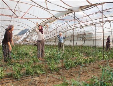 Antalya'da Hortum, Köylü Kadınları Ağlattı