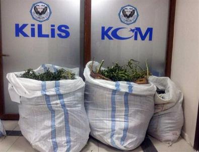 Kilis’te 40 Kilo Esrar Ele Geçirildi