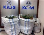 Kilis’te 40 Kilo Esrar Ele Geçirildi