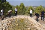 KUŞ YUVASI - Ormana Can Suyu Havuzu