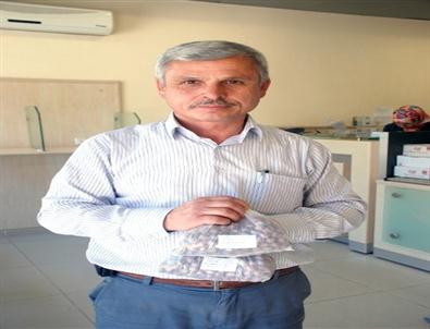 Güce’de Fındık Tanıtım Seferberliği Başlatıldı