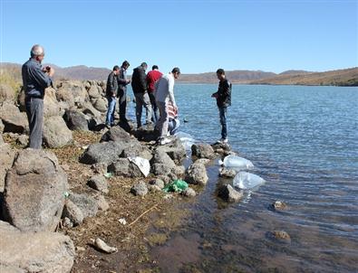 Hamurpet Gölü’ne 15 Bin Sazan Yavrusu Bırakıldı
