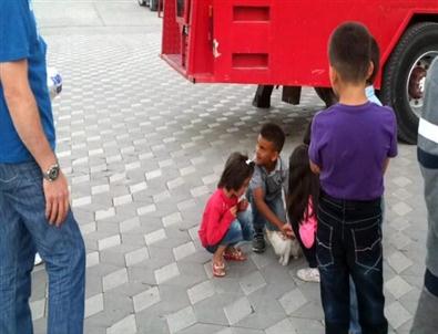 Çatıda Kedi Kurtarma Operasyonu