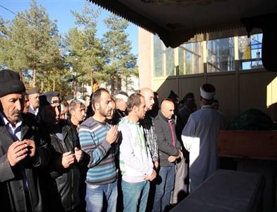 Mevlüt Elibol, Kalbine Yenik Düştü