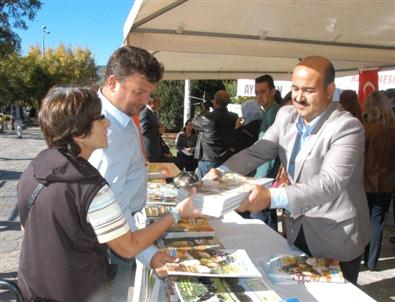 11 Milyon Çocuk 5 Yaşına Gelmeden Ölüyor