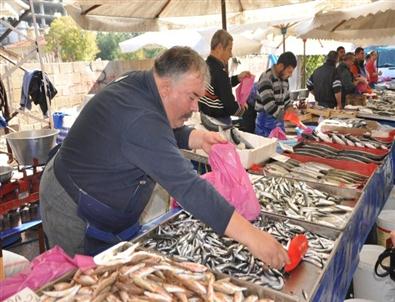 Balık Bol Alıcı Yok