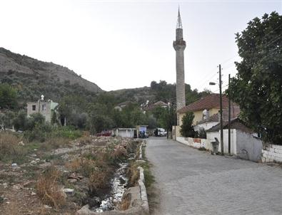 Bu Köyde Genç Yok!