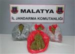 Otobüs Yolcusunda Esrar Ele Geçirildi