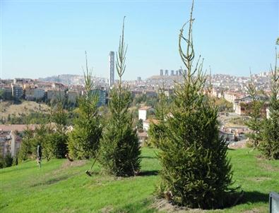 Altındağ’a 3 Yeni Park Daha
