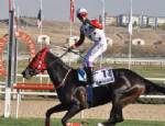 CUMHURBAŞKANLıĞı KUPASı - Cumhuriyet Kupası Koşusunu, Jokey Halis Karataş, Uçanoğlu Atı İle Kazandı