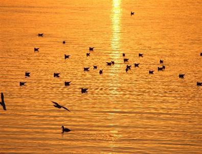 Beyşehir Gölü Milli Parkı Fotoğraflarla Tanıtılacak