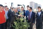 YAMAÇLı - Melikgazi'de Sonbaharda Da Fidanlar Yeşerecek