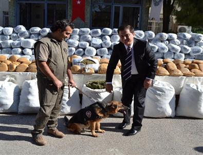 Osmaniye'de Dev Uyuşturucu Operasyonu