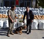 Osmaniye'de Dev Uyuşturucu Operasyonu