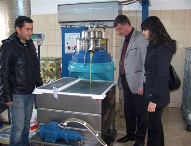 Zeytin, Üreticinin Yüzünü Güldürdü