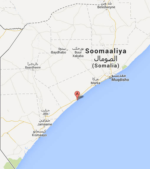 El Kaide lideri özel operasyonda yakalandı