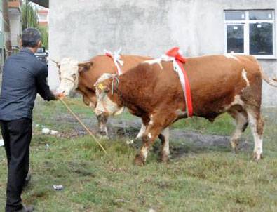Kurbanlıklar Kerem ile Aslı'yı alana bir de otomobil