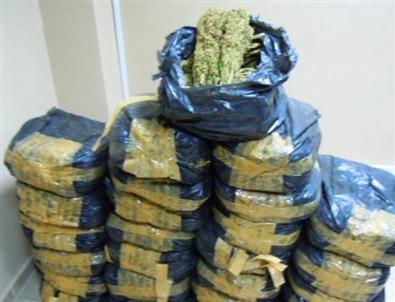 Tarsus’ta 75 Kilo Esrar Ele Geçirildi