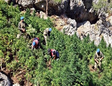 Adana'da Kaçakçılıkla Mücadele