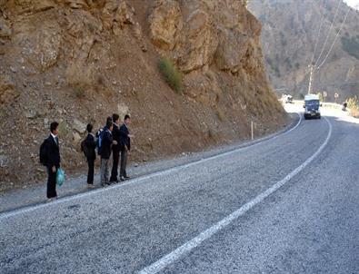 (özel Haber) Okula Gitmek İçin Otostop Çekiyorlar