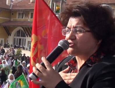 BDP'deki krizin arkasından Emine Ayna çıktı