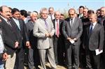 BAYAR SOYSAL - Çankırı'da Çeltik Hasadı Başladı