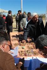 MUZAFFER BAŞIBÜYÜK - Konya’da Ceviz Günü Etkinliği