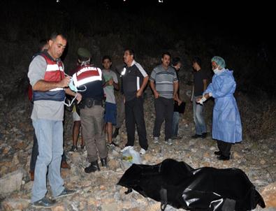 Eşkale Uyan Kayıplar Araştırılıyor