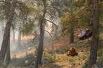 Fethiye'de Orman Yangını