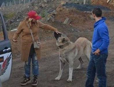 Yonca Evcimik'ten Şafak Operasyonu