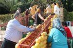 İMİTASYON - Narenciye Festivali Çalışmaları Devam Ediyor