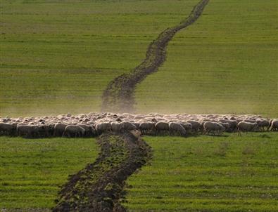 Nevşehir Belediyesi 4. Uluslararası Fotoğraf Yarışması Sonuçlandı