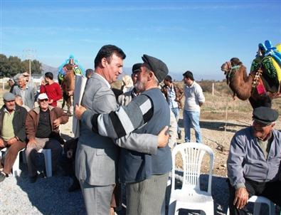 Pehlivan Develer Germencik’te Havutlandı