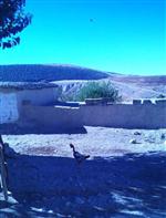 SIRIUS - Belirsiz cisim objektiflere takıldı