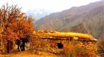 DOĞA FOTOĞRAFÇISI - Hakkari’de Sonbahar Güzelliği