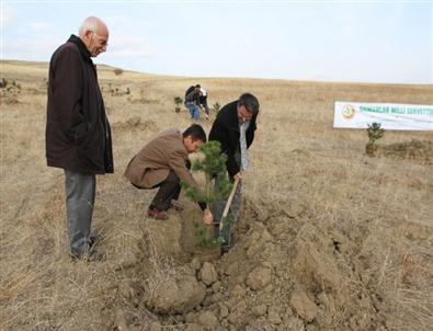 Bir Öğrenci Bir Fidan