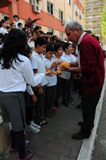 DAVULTEPE - Narenciye Dağıtımı Mezitli'deki Okullarda Devam Ediyor