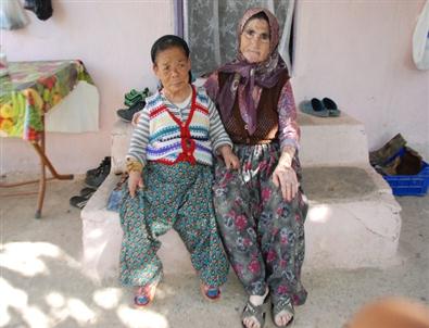 Pembe Teyze Bir Metre Boyunda