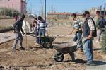 Yeni Toki Bloklarında  Çocuk Oyun  Alanı ve Dinlenme Parkı Yapıldı