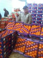 RESUL ÇELIK - Seferihisar'da Mandalina Festivali Başladı