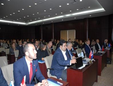 Bartık Açıklaması