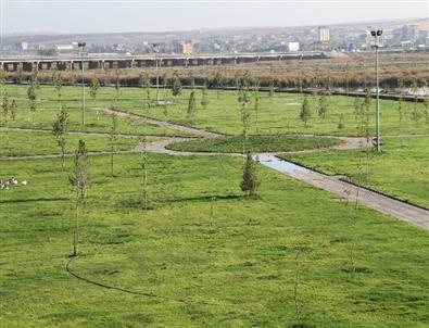 Halil İbrahim Oruç Parkı 90 Dönüme Ulaştı